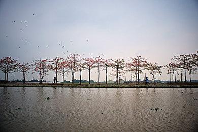 名人News！《洛克人 EXE合集》网络通信功能介绍